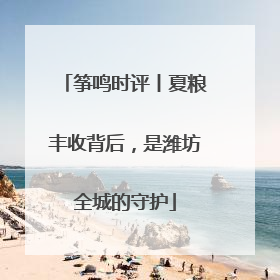 筝鸣时评丨夏粮丰收背后，是潍坊全城的守护