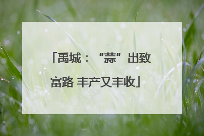 禹城：“蒜”出致富路 丰产又丰收