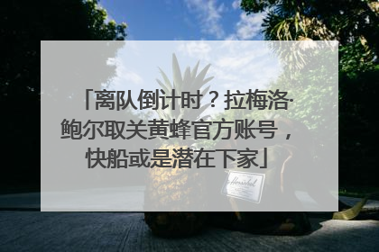 离队倒计时？拉梅洛·鲍尔取关黄蜂官方账号，快船或是潜在下家
