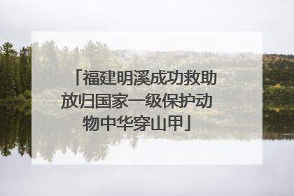 福建明溪成功救助放归国家一级保护动物中华穿山甲