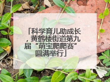 科学育儿助成长，黄鹤楼街道第九届“萌宝爬爬赛”圆满举行