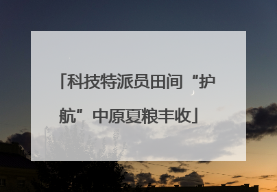 科技特派员田间“护航”中原夏粮丰收