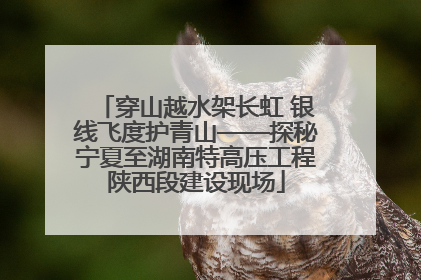 穿山越水架长虹 银线飞度护青山——探秘宁夏至湖南特高压工程陕西段建设现场