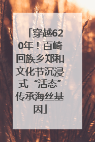 穿越620年！百崎回族乡郑和文化节沉浸式“活态”传承海丝基因