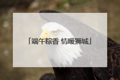 端午粽香 情暖狮城