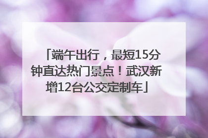 端午出行，最短15分钟直达热门景点！武汉新增12台公交定制车