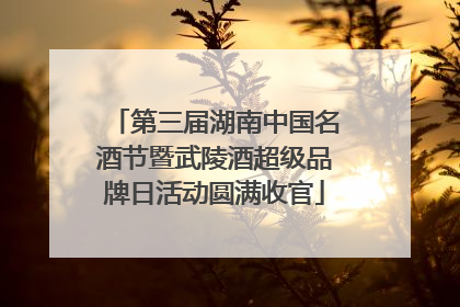 第三届湖南中国名酒节暨武陵酒超级品牌日活动圆满收官