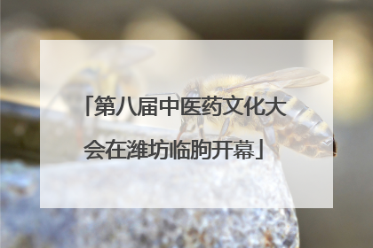 第八届中医药文化大会在潍坊临朐开幕