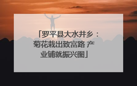 罗平县大水井乡：菊花栽出致富路 产业铺就振兴图