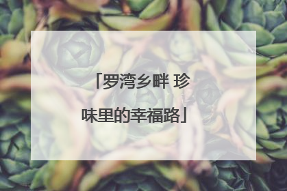 罗湾乡畔 珍味里的幸福路