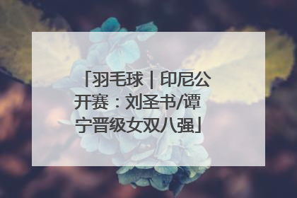 羽毛球｜印尼公开赛：刘圣书/谭宁晋级女双八强