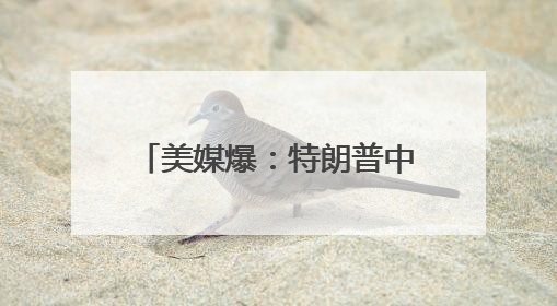 美媒爆：特朗普中东行期间承认自己和苹果CEO库克“有点小问题”