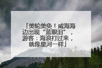 美轮美奂！威海海边出现“蓝眼泪”，游客：海浪打过来，就像星河一样