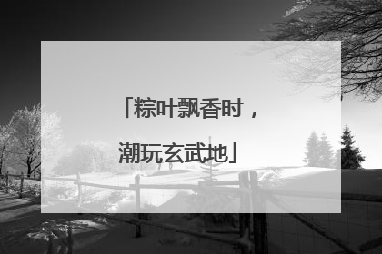 粽叶飘香时，潮玩玄武地