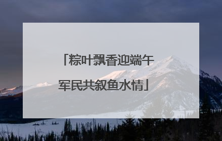 粽叶飘香迎端午 军民共叙鱼水情