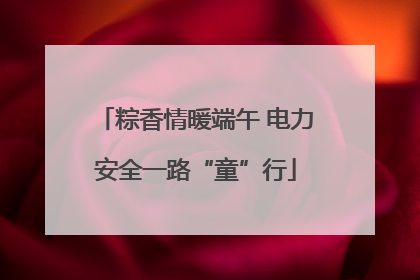 粽香情暖端午 电力安全一路“童”行