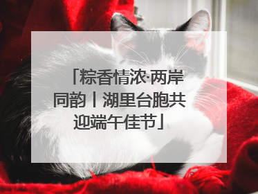 粽香情浓·两岸同韵丨湖里台胞共迎端午佳节