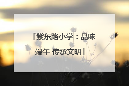 紫东路小学：品味端午 传承文明
