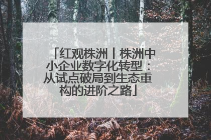 红观株洲丨株洲中小企业数字化转型：从试点破局到生态重构的进阶之路
