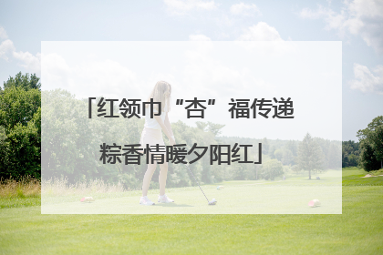 红领巾“杏”福传递 粽香情暖夕阳红