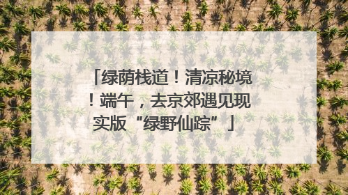 绿荫栈道！清凉秘境！端午，去京郊遇见现实版“绿野仙踪”