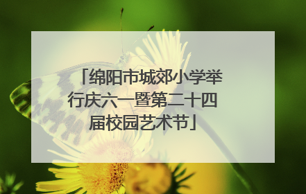 绵阳市城郊小学举行庆六一暨第二十四届校园艺术节
