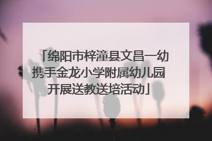 绵阳市梓潼县文昌一幼携手金龙小学附属幼儿园开展送教送培活动