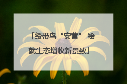 绶带鸟“安营” 绘就生态增收新景致