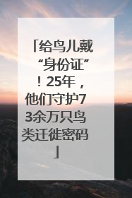 给鸟儿戴“身份证”！25年，他们守护73余万只鸟类迁徙密码
