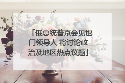 俄总统普京会见也门领导人 将讨论政治及地区热点议题