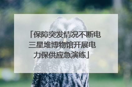 保障突发情况不断电 三星堆博物馆开展电力保供应急演练