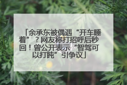 余承东被偶遇“开车睡着”？网友称打招呼后秒回！曾公开表示“智驾可以打盹”引争议