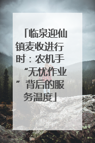 临泉迎仙镇麦收进行时：农机手“无忧作业”背后的服务温度