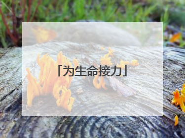 为生命接力