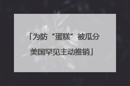 为防“蛋糕”被瓜分 美国罕见主动推销