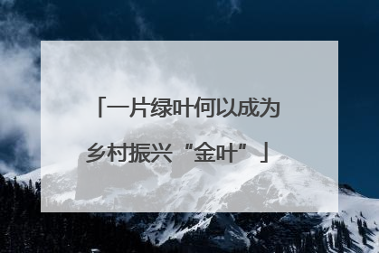 一片绿叶何以成为乡村振兴“金叶”