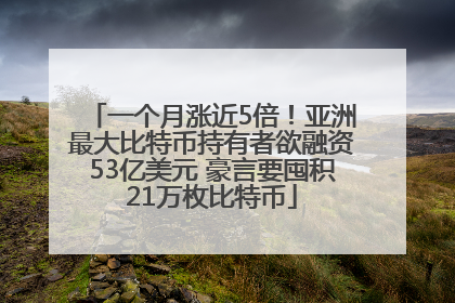 一个月涨近5倍！亚洲最大比特币持有者欲融资53亿美元 豪言要囤积21万枚比特币