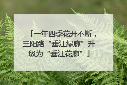 一年四季花开不断，三阳路“垂江绿廊”升级为“垂江花廊”