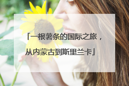 一根薯条的国际之旅，从内蒙古到斯里兰卡