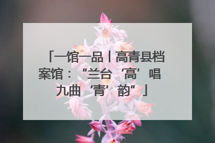 一馆一品丨高青县档案馆：“兰台‘高’唱 九曲‘青’韵”