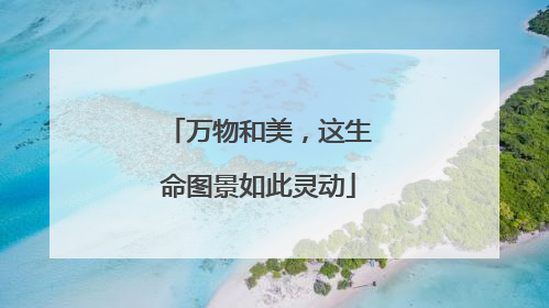 万物和美，这生命图景如此灵动