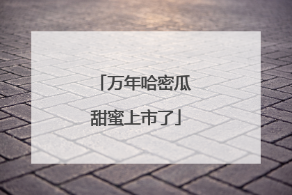 万年哈密瓜甜蜜上市了