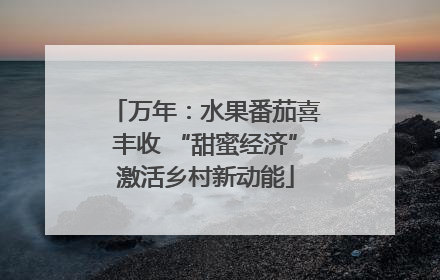 万年：水果番茄喜丰收 “甜蜜经济”激活乡村新动能