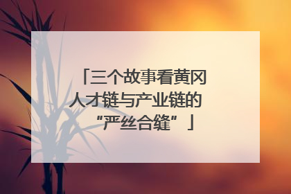 三个故事看黄冈人才链与产业链的“严丝合缝”