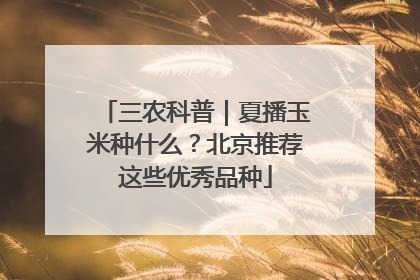 三农科普｜夏播玉米种什么？北京推荐这些优秀品种