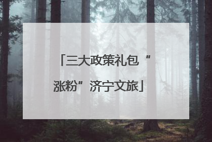 三大政策礼包“涨粉”济宁文旅