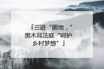 三进“菌地，”黑木耳法庭“呵护乡村梦想”