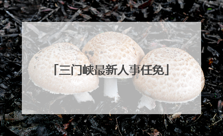 三门峡最新人事任免