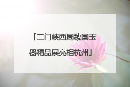 三门峡西周虢国玉器精品展亮相杭州