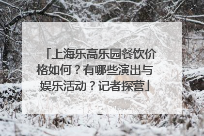 上海乐高乐园餐饮价格如何？有哪些演出与娱乐活动？记者探营